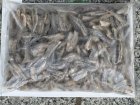 他の写真2: バラ凍結冷凍きびなご