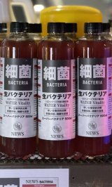 生バクテリア【500㎖】