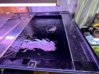 他の写真2: 1800/900/600・黒水槽セット