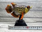 他の写真2: Arowana Figure