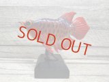 Arowana Figure