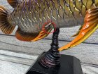 他の写真2: Arowana Figure