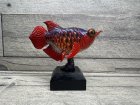 他の写真1: Arowana Figure