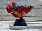 他の写真3: Arowana Figure