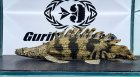 他の写真1: Ultra Short body Endlicheri [ウルトラショートエンドリケリー]