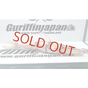 画像: アルビノタイガーシャベルノーズキャット