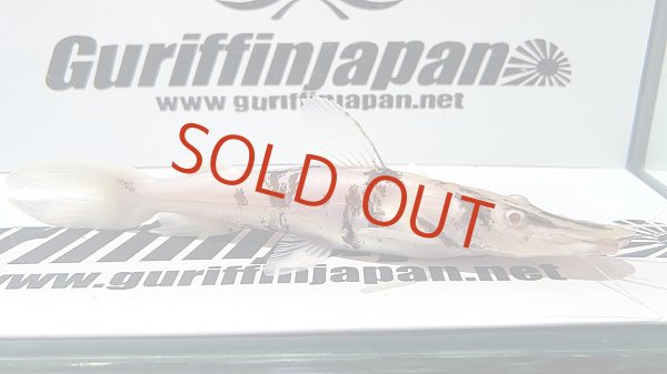 画像1: アルビノタイガーシャベルノーズキャット (1)