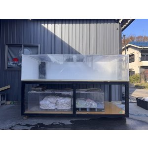 画像: 2400/1200/600 OF水槽