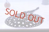 画像: Big Spot  Diamond Polkadot stingray