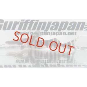 画像: ゼブラキャット