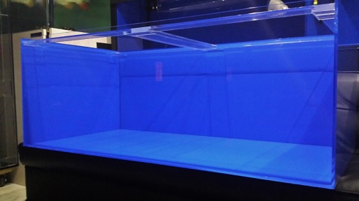 1200×600 青色水槽 - アジアアロワナ・アクリル水槽・淡水エイを扱う 
